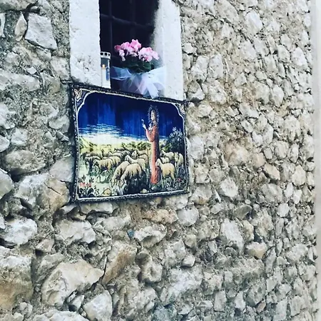 Lantställe Nika One Minute From -beach