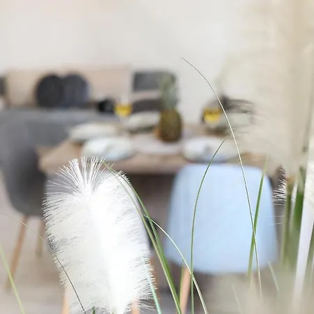 Nika One Minute From -beach * Zadar